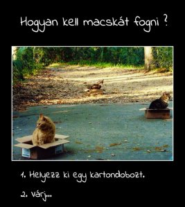 12717257_1043593462379259_359042361619530052_n