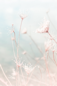 ColorNature3_150