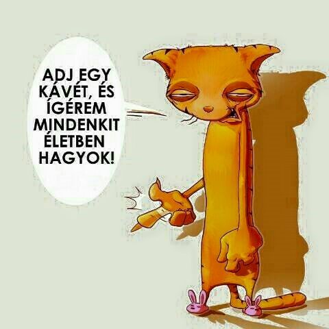 12832482_965635930151296_6716235095930900837_n