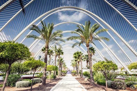 1975b579c34373393e2a65ba591d417d